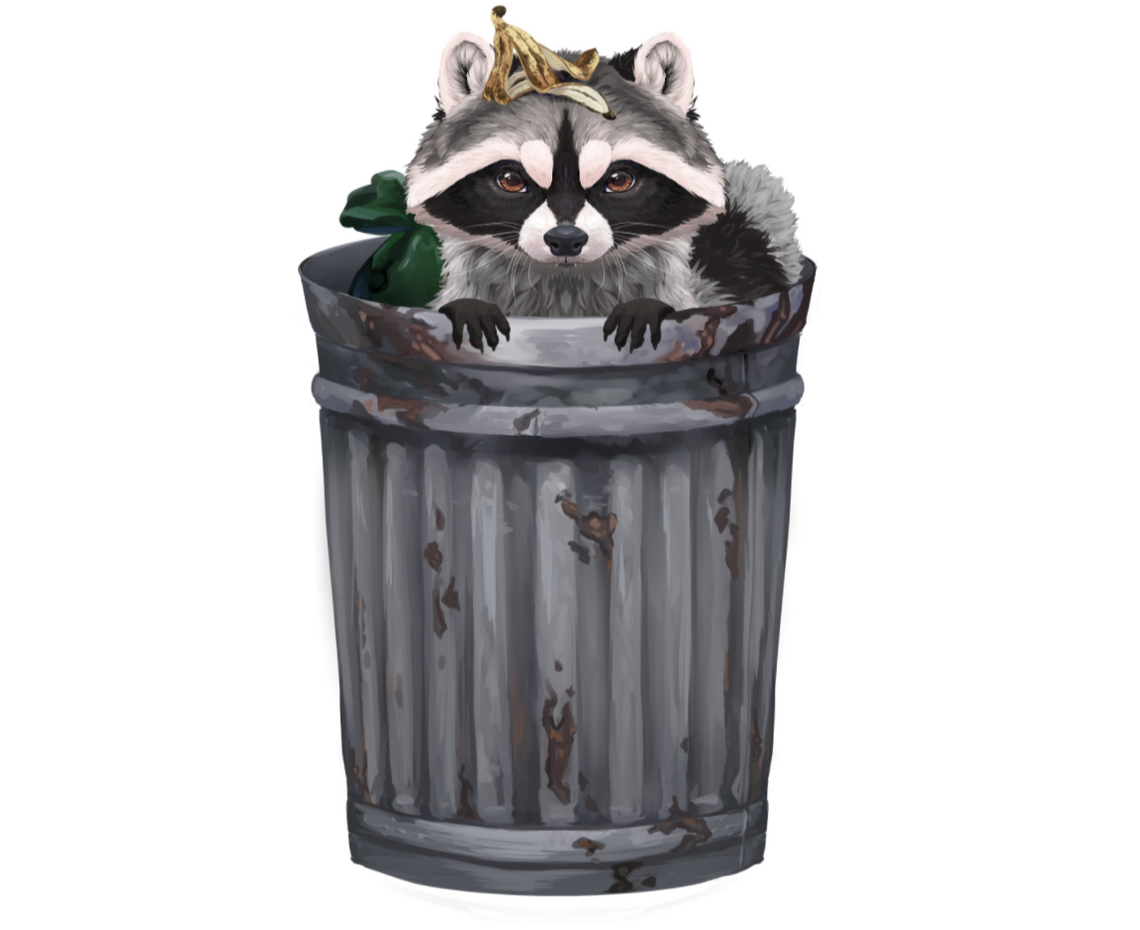 Realistic Raccoon by ShadowPhoenixFoxArt